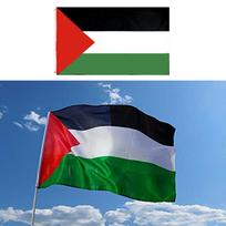 Didelės Palestinos vėliavos poliesterio 150x90cm Gazos Palestinos festivalio dekoras gray