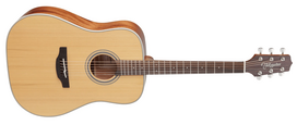 Akustinė gitara Takamine GD20-NS natūrali matinė