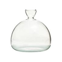 Hydroponic Plants Glass Vase, Transparent Propagation Terrarium, Desktop Decorative Planter Pot for Home Office Table Centerpiece Small white