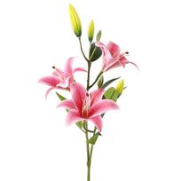 80cm Dirbtinio Gėlių Šakelė Plastikinė Tikro Kosčio Šilkinė Lilium Brownii Gėlė Elegantiška Rankų Darbo Dirbtinės Gėlės Lauko Sodo Dekoras rožinė raudona spalva