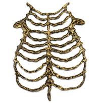 Hollow Skeleton Frame Chain Breastbone Cute Bone Costume Prop  Halloween Holiday auksas