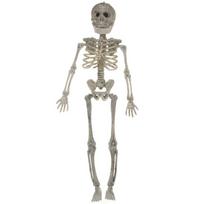Skeleton Model Halloween Animal Skeleton Human Bones Animal Model  Ghost Festival 1