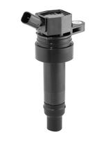 Ritė, uždegimas BorgWarner (BERU) ZS625