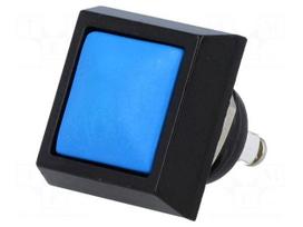 Switch: vandal resistant | Pos: 2 | SPST-NO | 2A/36VDC | IP65 | OFF-(ON)