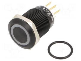 Switch: vandal resistant | Pos: 2 | SPDT | 3A/220VAC | 5A/24VDC | IP65