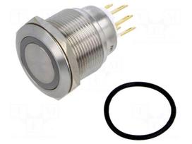 Switch: vandal resistant | Pos: 2 | SPDT | 3A/220VAC | 5A/24VDC | IP65