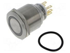 Switch: vandal resistant | Pos: 2 | SPDT | 3A/220VAC | 5A/24VDC | IP65