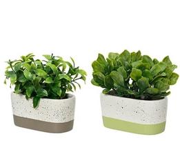 Dirbtinis žalias dekoratyvinis augalas keram. vazone 14x7x15 cm, 14x7x15 cm