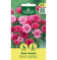 Rugiagėlių sėklos ROSE SHADE, 1 g