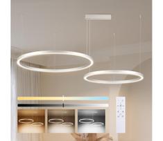 Brilagi - LED reguliuojamas pakabinamas šviestuvas ant laido PORTOFINO LED/98W/230V sidabro spalvos + su nuotoliniu pulteliu