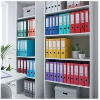 Laikiklis Esselte Nr. 1 svirtinis arkinis segtuvas PP, 30 % perdirbtos folijos, A4, plastikas, žalias, tekstūruotas paviršius, 500 lapų, 500g/m²