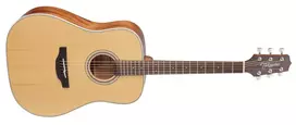 Akustinė gitara Takamine GD20-NS natūrali matinė