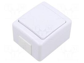 Coupler | hermetic switch | wall mount | 250VAC | IP44 | BETA | lighting