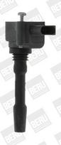 Ritė, uždegimas BorgWarner (BERU) ZSE163