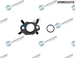 Tarpiklių rinkinys, AGR sistema Dr.Motor Automotive DRM02257S