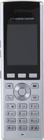 GrandStream WP820, sidabrinis