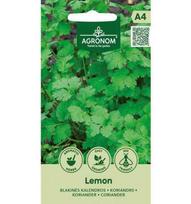 Blakinių kalendrų sėklos LEMON, 2 g
