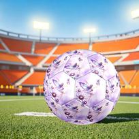 1pc Fairy Garden Dreams Size 5 Soccer Ball Professional Match Training Football Indoor &Outdoor Sports Ball Training Ball Lightweight Durable y92 Size 5