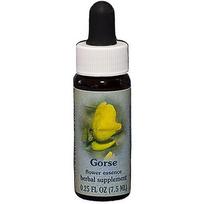 Flower Essence Services Gorse Dropper, 0.25 oz (Pack of 1)