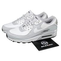 Nike Air Max 90 Gore-Tex Photon Dust - DJ9779-003 EU 40 pilka spalva