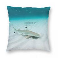 Blacktip Reef Sharks Square Pillowcase Polyester Linen Velvet Pattern Zip Decorative Sofa Seater Cushion Cover Peach skin 18*18(CM)-1Pcs
