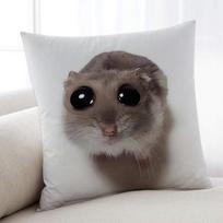 Sad Hamster cushion cover Home Bedding Sofa living Room pillowcase Simple Soft Skin Cushion Cover Party Gift 30x30CM(12x12in) gray