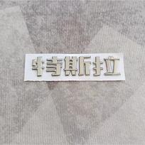 ALG1 Car trunk replacement logo sticker accessory For Tesla SpaceX Model 3 Highland 2023 S X Y Y-Eur Roadster P75D P85D P90D P100D 1Pcs