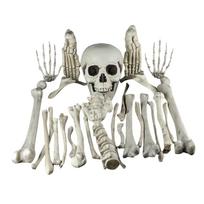 Life Size Human Skeleton Model, 1:1 Anatomical Bone Set for Medical Study, Educational Teaching, Halloween Decoration, Durable PVC Material, 23 Pieces One Size