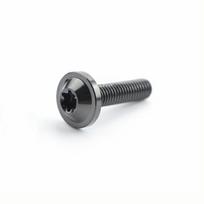 Aukštos kokybės M6x10 Titano Varžtai M6x20 M6x15 Torx Galvutės Varžtai su Torx Galvute Motociklo Tvirtinimo Elementai