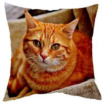 Cute Little Lazy Cat Living Room Sofa Decorative Cushion Cover Square Pillowcase Elegant And Fashionable Home Design 45X45Cm Peach skin 18*18(CM)-1Pcs