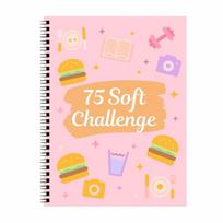 A4 75 Soft Challenge Journal Progress Tracking Goal Setting 75 Day Soft Challenge Book Rainbow Pages Daily Planner 75 Tracker