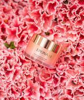 Premium Salmon Oil Cream 50ml