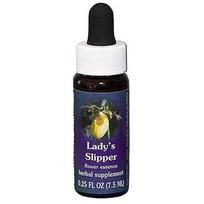 Flower Essence Services Ladys Slipper (Yellow) Dropper, 0.25 oz (Pack of 1)