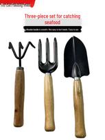 Beachcombing Tool Set: Includes Shovel, Rake, Iron Spade, Fork for Collecting Shells, Catching Crabs, Planting Flowers, and Vegetables. Beachcombing Set
