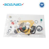 CAV Lucas Diesel DPA Injection Pump Kit 7135-110 Diesel Fuel Pump Repair Kit For Massey Ferguson Injection Pump Repair Gaskets 1PCS 7135-110