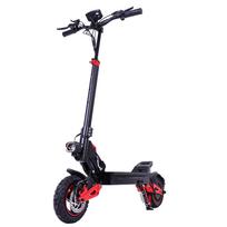 FREEBOY J15MAX 1600W Variklis Visureigis Elektrinis Paspirtukas Aukštos Galios Variklis 48V18Ah Baterija Miesto Kelionėms E-Paspirtukas 10 colių Visureigio Padangos E-Paspirtukas