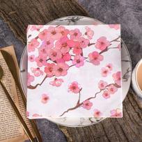 Vienkartinė vakarėlio servetėlė dvisluoksnė 20 vnt./pak 20Pcs