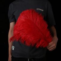 35-40cm stručio plunksnos „Pasidaryk pats“ plunksna vestuvių plunksna scenos namų langų dekoracija plunksna