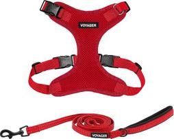 "Best Pet Supplies Voyager Step-In Lock" šuns petnešų ir šviesą atspindinčių pavadėlių rinkinys su neoprenine rankena, 6 pėdų ilgio, skirtas mažų, vidutinių ir didelių veislių šuniukams ir katėms, raudonas (su