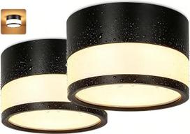 "GeyouLux" LED paviršinis prožektorius, IP65, atsparus vandeniui, 12 W, 1320 lm, lubų prožektorius, 3000 K, šiltai balta, skersmuo 109 x 70 mm, apvalus lubų šviestuvas vonios kambariui, prieškambariui, svetainei, 2 vnt.
