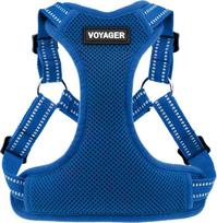 "Voyager by Best Pet Supplies" - Visiškai reguliuojami tinkliniai diržai su 3M šviesą atspindinčiais vamzdeliais - karališkai mėlyni (atitinkantys kraštus), X dydžio
