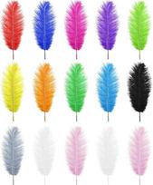 15 natūralių stručio plunksnų pakuotė Mišrios spalvingos plunksnos 25-30 cm, skirtos "pasidaryk pats" amatų meno dizainui Netoksiškas bekvapis svajonių gaudytojas Vestuvių dekoracijos