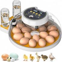 Inkubatorius Hühner 18-60 Eier, Brutomat Vollautomatisch für mit Automatischer Temperatur Feuchtigkeitsregelung, Inkubator Brutmaschine für Hühner Wachteln Enten und Geflügel Eierbrüter | Einfach zu bedienen und hohe Schlupfrate, Präzise konstante Tempera