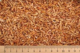 Krabai žuvims - 5 litrai / 0,5 kg - beskoniai - laikyti sausai