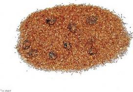 Laukinių vyšnių "Rooibos" arbata 100 g "Fruity Tee-Meyer