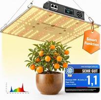 LED auginimo lempa 100 W su klimato jutikliu, laikmačiu ir reguliatoriumi Viso spektro augalų lempa ir auginimo lempa kambariniams augalams ir auginimo palapinei I Daisy Chain Grow Light Rogue Grower