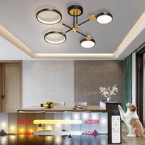 LED lubų šviestuvas, gyvenamasis kambarys, lubų šviestuvas, reguliuojamas miegamojo šviestuvas, auksinis su nuotolinio valdymo pulteliu, modernus gyvenamojo kambario šviestuvas miegamajam, valgomajam, virtuvei, prieškambariui, vaikų kambariui (juodas, L75