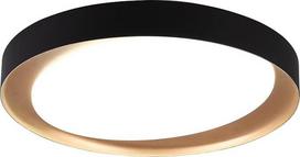Reality Leuchten Zeta R62712402 LED lubų šviestuvas plastikinis juodas arba auksinis su 24 W LED nuotolinio valdymo pulteliu