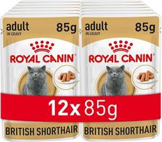 Royal Canin 9003579001240 Britų trumpaplaukių kačių maistas, 85 g