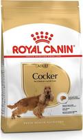 Royal Canin Šunų maistas kokerspanieliams 25 sausas mišinys 3kg